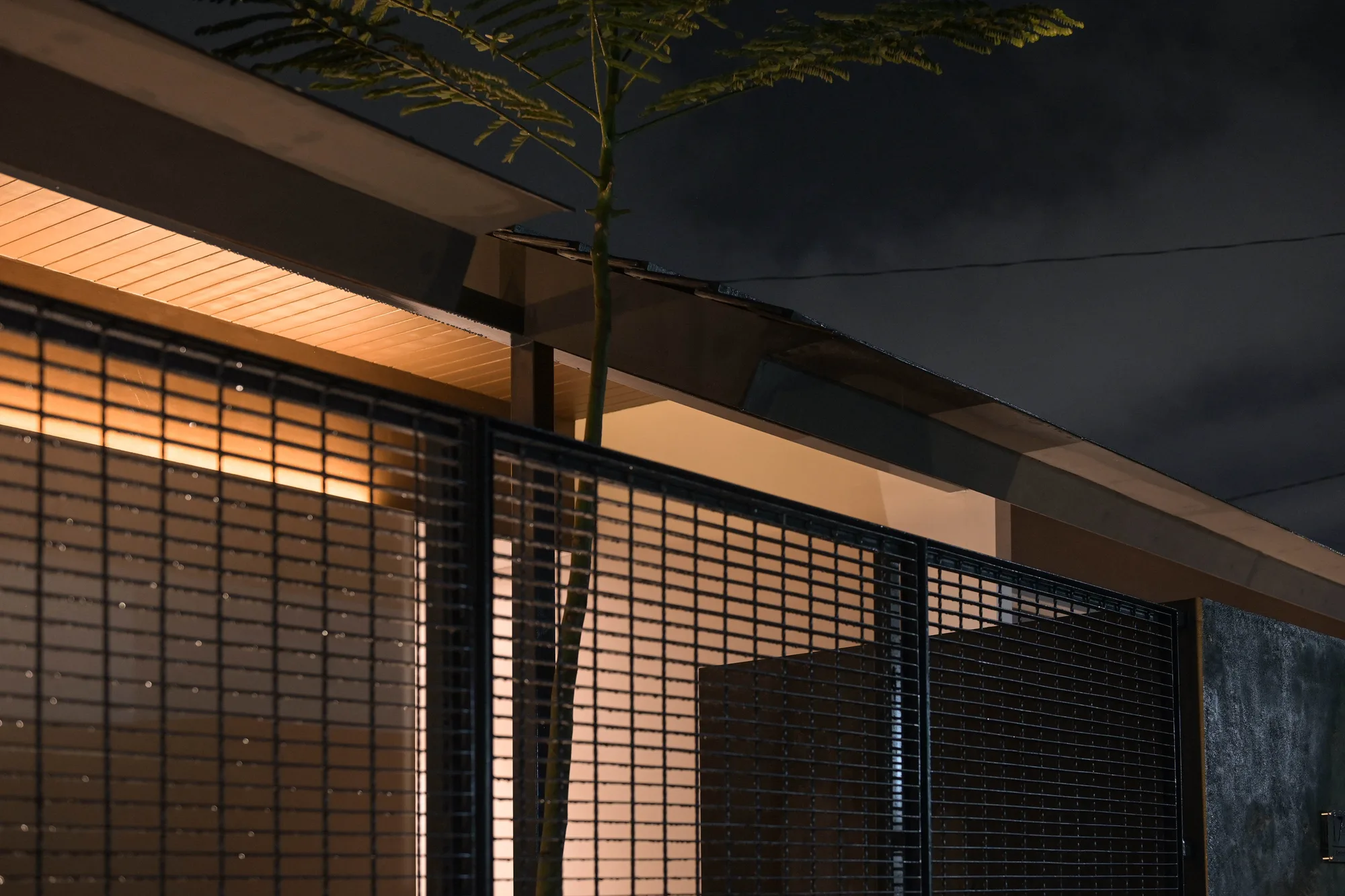 Close-up of the eave and mesh screen at night, rain beading on the black grid as an areca palm crosses the frame.