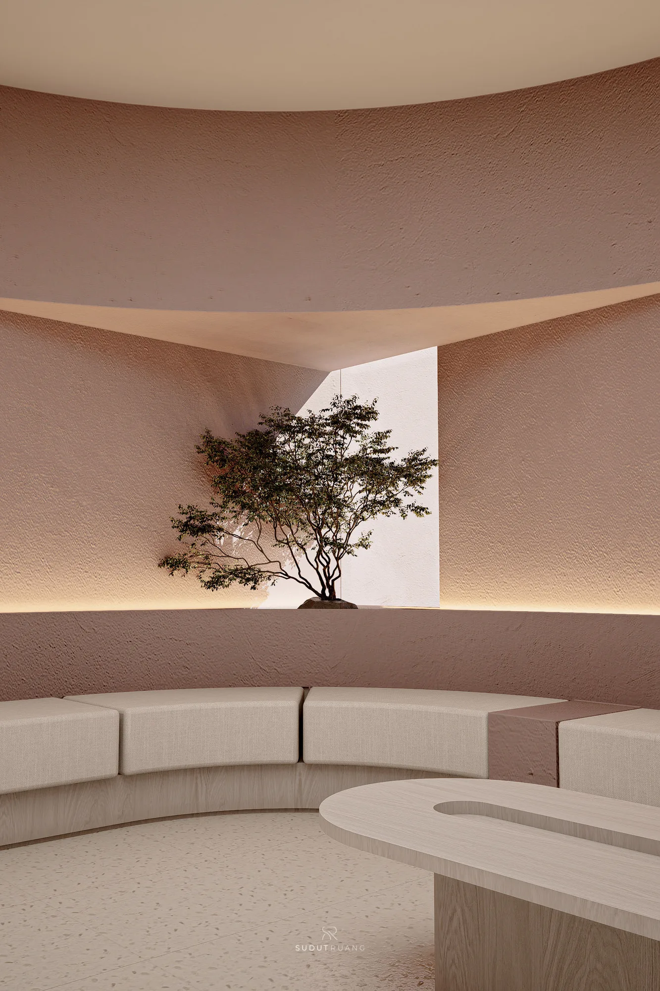 A single tree lit from below in Beauty Center's curved plaster alcove, daylight pulled down through a slot cut into the ceiling above it.