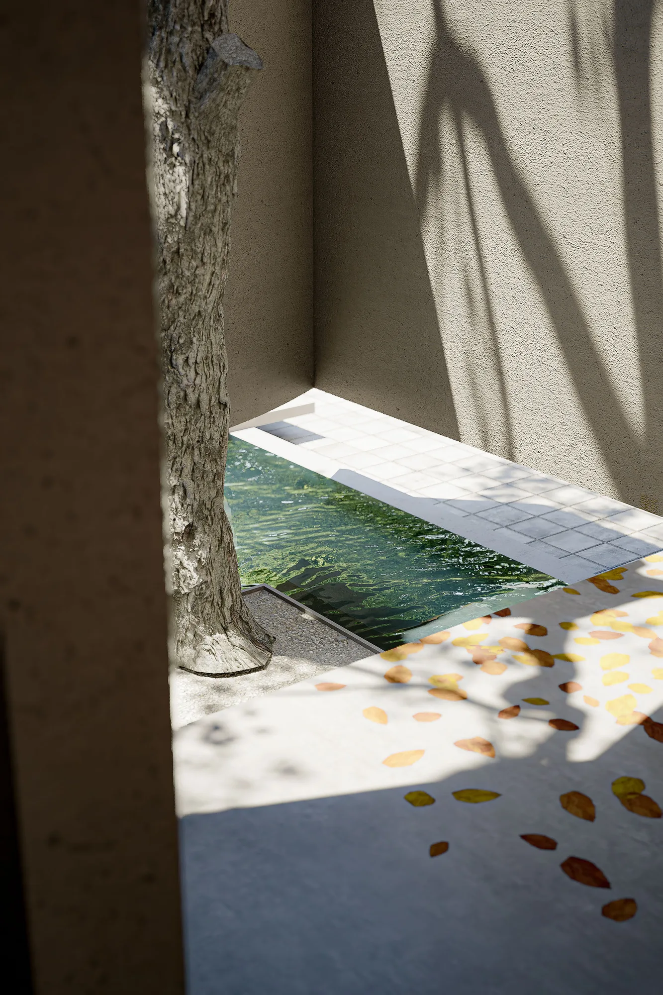 Detail of the reflecting pool corner beneath the tree, fallen leaves scattered across the sunlit paving.