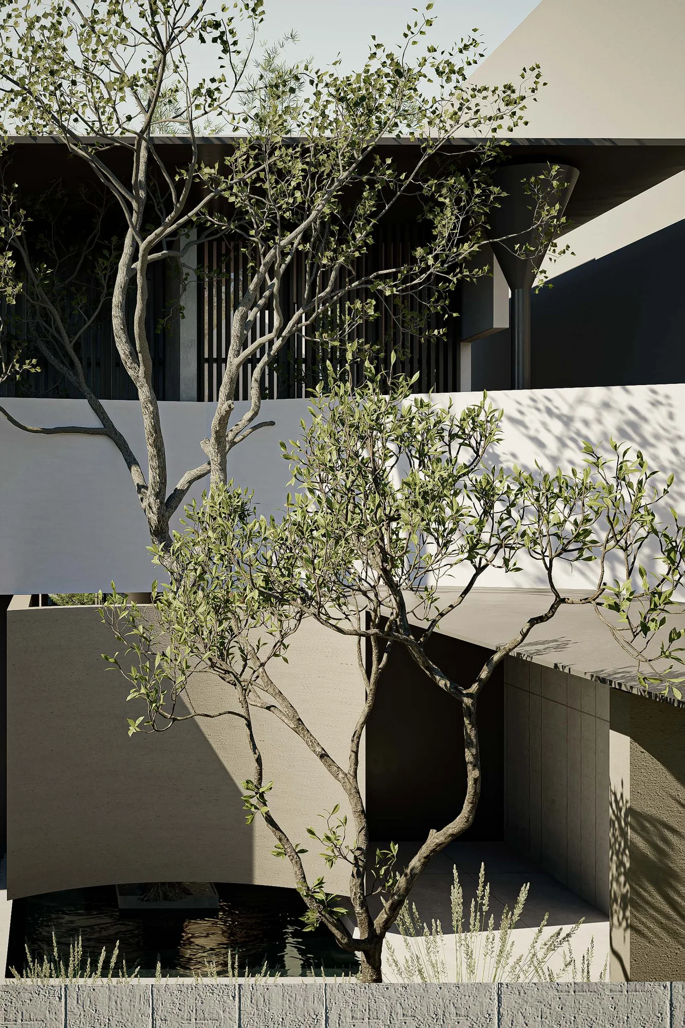 Courtyard tree framed against the dark timber screen and concrete block wall, the reflecting pool glimpsed beneath its branches.