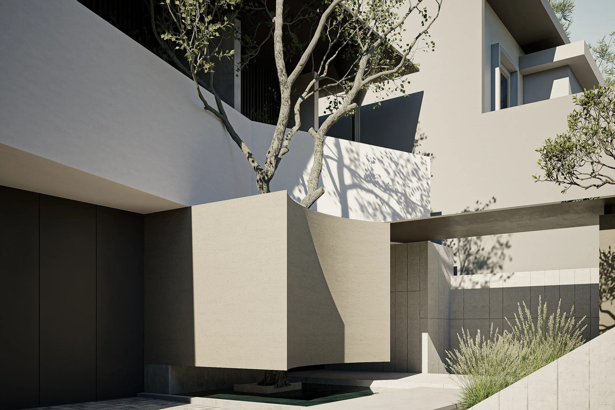 Angled view of the entry court tree against the plastered volume, its branches spreading beneath the upper-storey balcony.