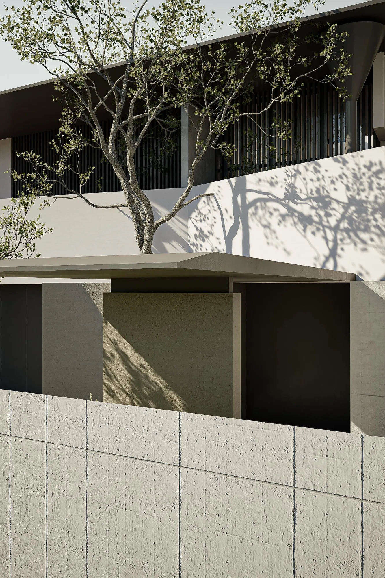 Tree canopy filtering light onto the plastered wall above the entry, shadows tracing across the surface at midday.