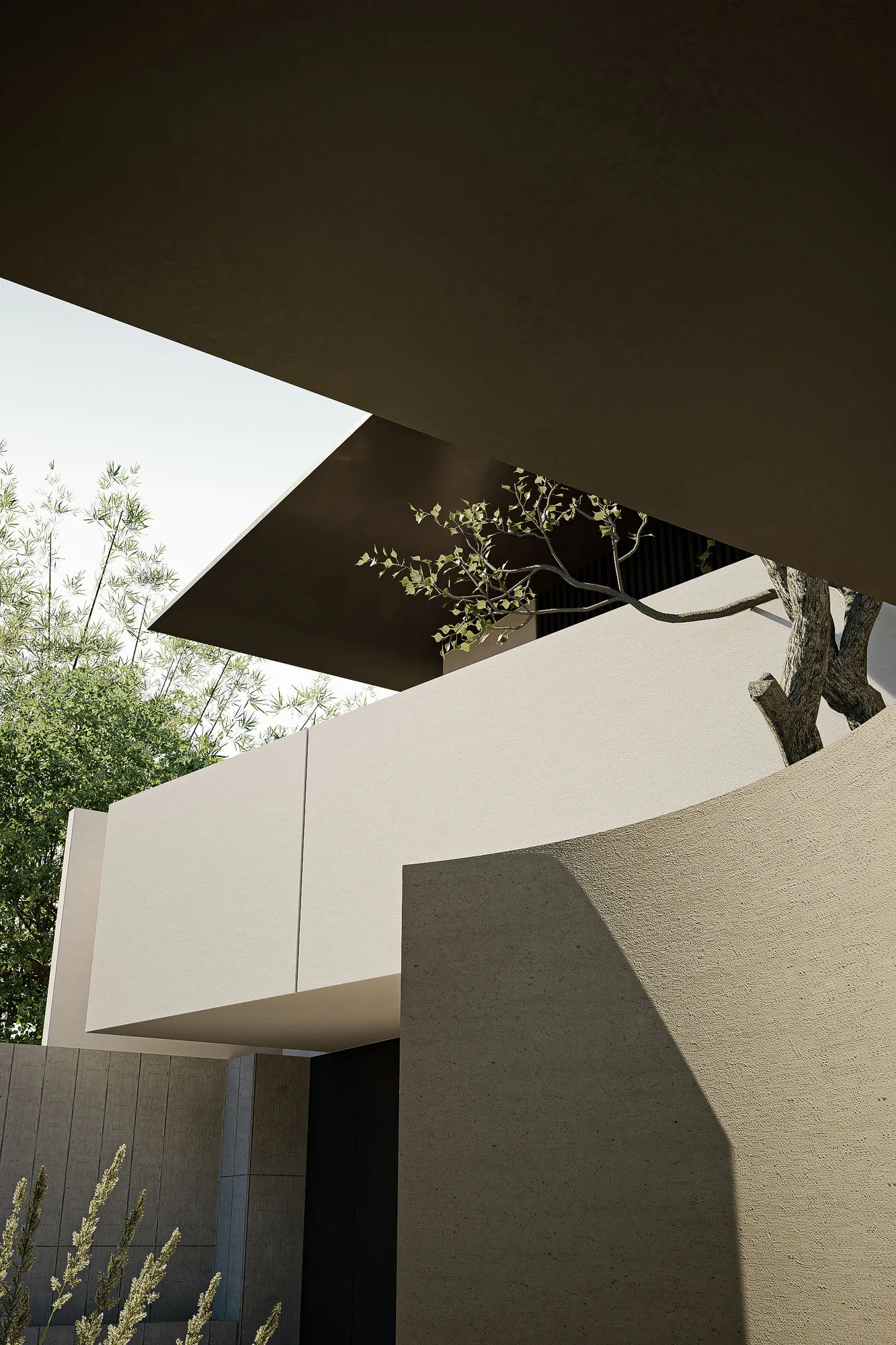 Roof overhang meeting the plastered volume above the entry court, tree branches reaching into the covered threshold.
