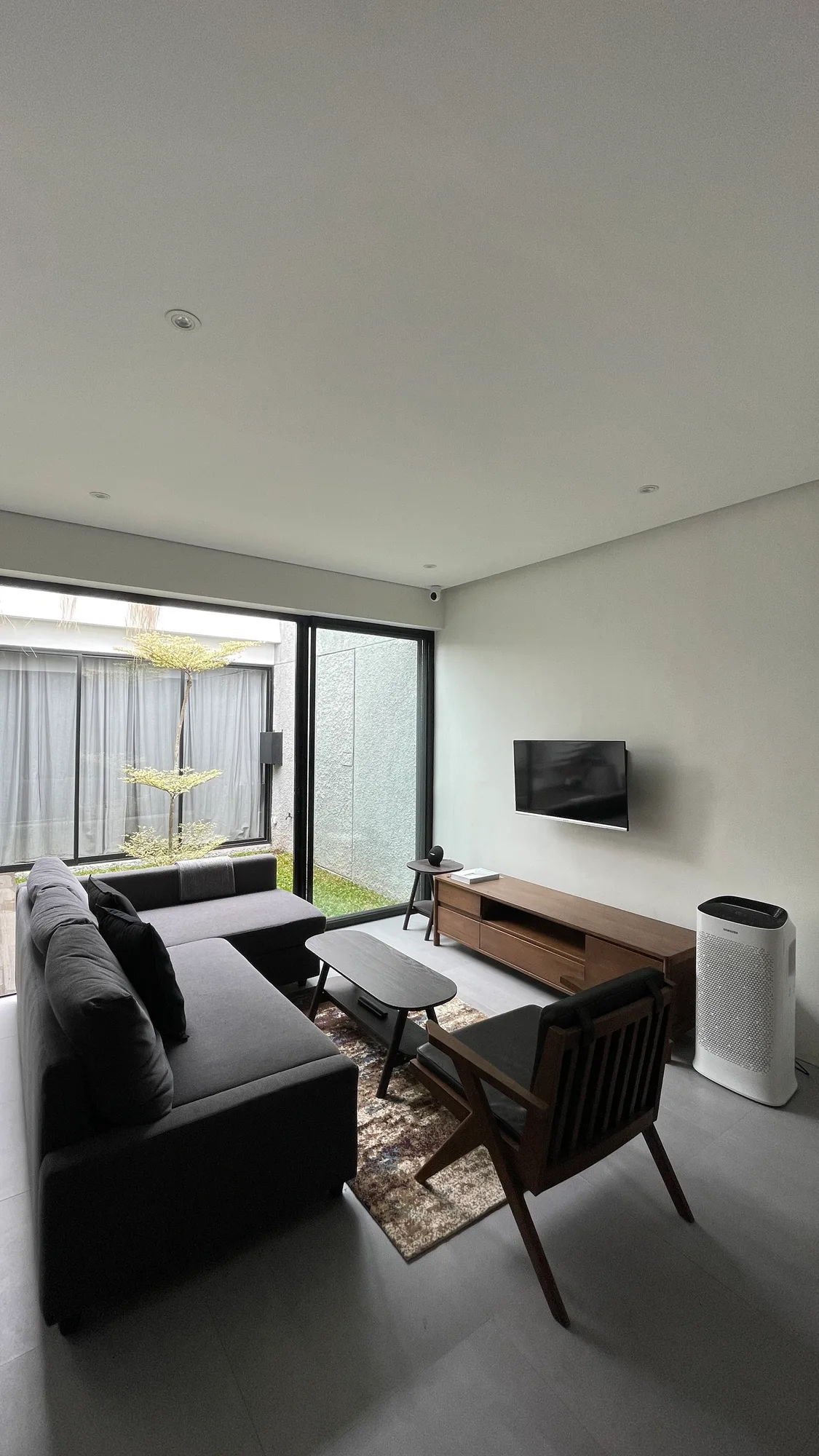 A wide view of the living room, sofa and TV facing the air purifier, the courtyard visible through the glass door.
