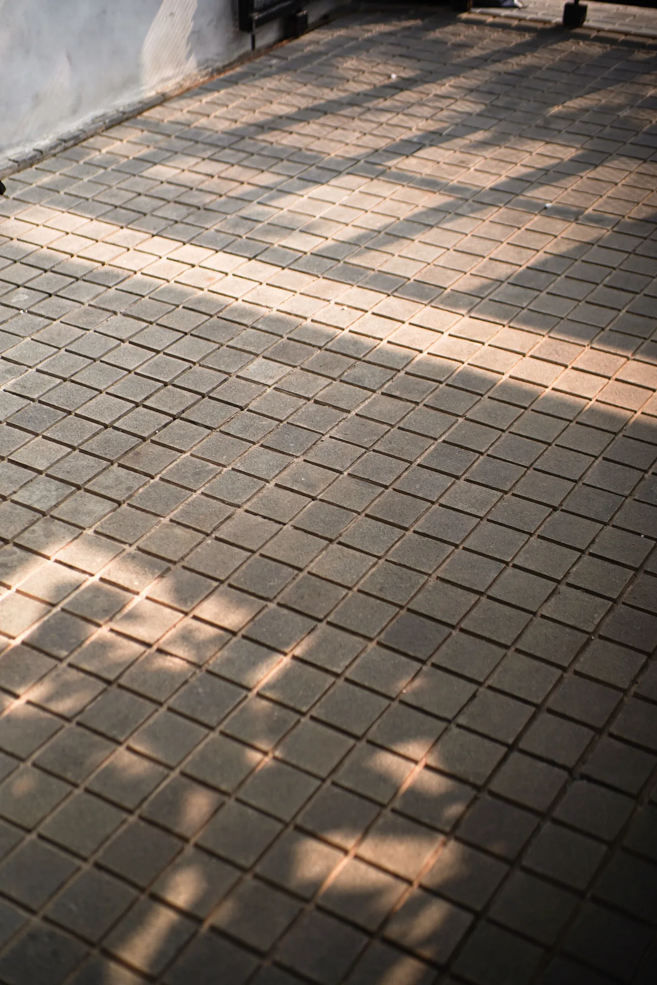 Late-afternoon shadows falling across grey pavers at the front of the house.