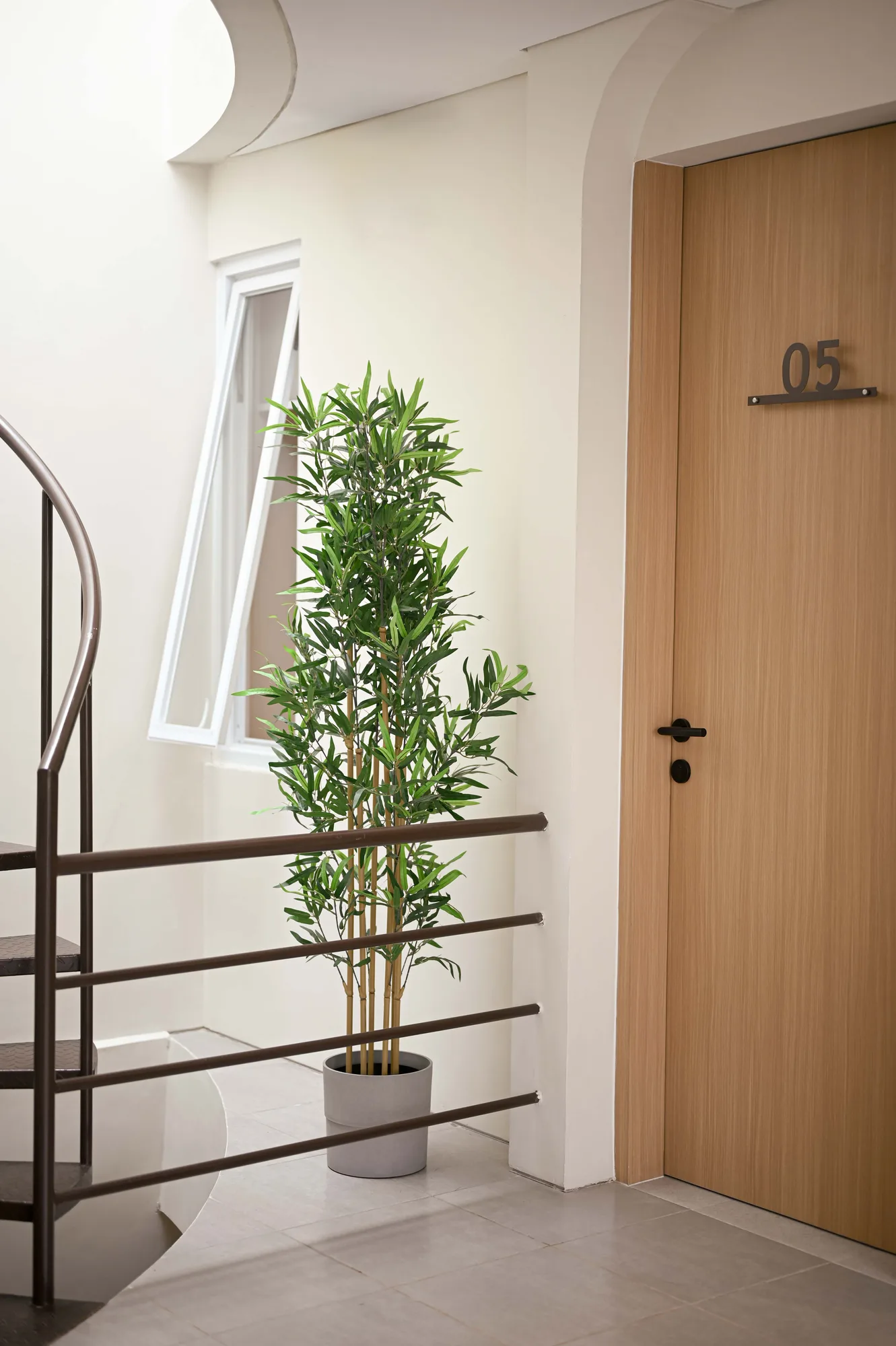 A potted plant beside the spiral stair leading up to room 05, its wood-veneer door catching the corridor light.