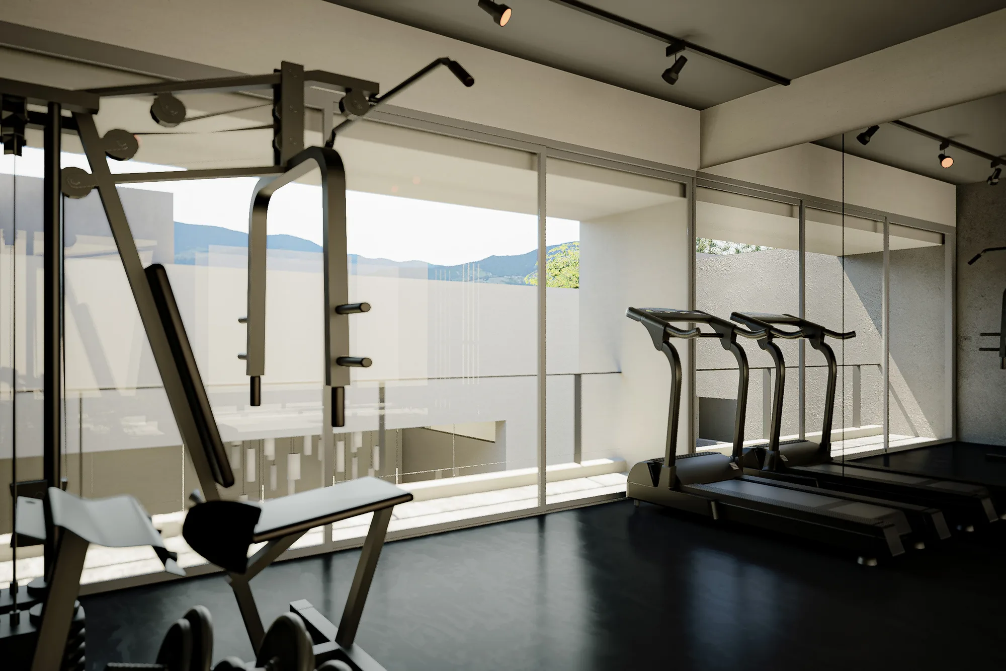 Home gym with a cable machine and treadmills facing a glazed wall that opens onto a terrace and mountain view.